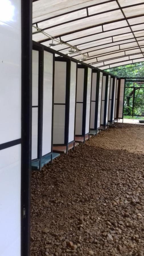 Bolita Trails And Lodging Dos Brazos Exterior foto